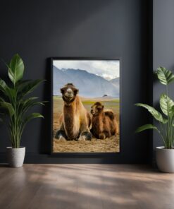 Joyful Moments: Mother and Child Bactrian Camel Framed Poster