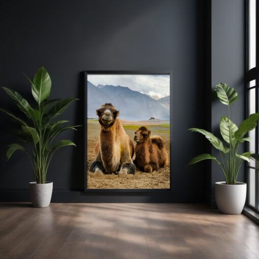 Joyful Moments: Mother and Child Bactrian Camel Framed Poster