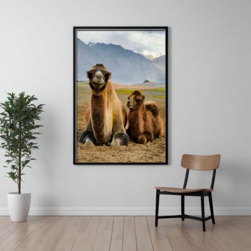 Joyful Moments: Mother and Child Bactrian Camel Framed Poster - Image 7