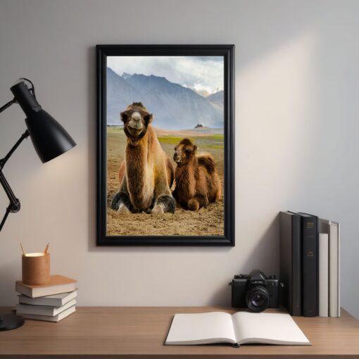 Joyful Moments: Mother and Child Bactrian Camel Framed Poster - Image 3