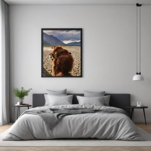 Discover Ladakh's Majesty: Bactrian Camel Framed Poster in Hunder's Sand Dunes - Image 2
