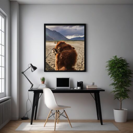 Discover Ladakh's Majesty: Bactrian Camel Framed Poster in Hunder's Sand Dunes - Image 8