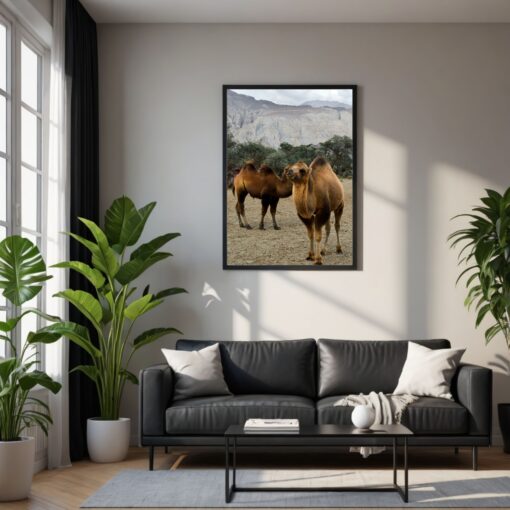 Discover Ladakh's Beauty: Bactrian Camels in Hunder Sand Dunes Framed Poster - Image 2