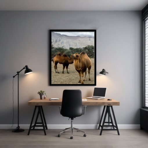 Discover Ladakh's Beauty: Bactrian Camels in Hunder Sand Dunes Framed Poster - Image 7